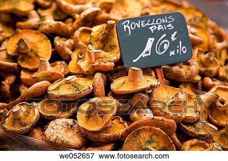 Saffon milk-cap (Lactarius deliciosus) in La Boqueria market, Barcelona. Catalonia, Spain View Large Photo Image Stock Photo - Saffon milk-cap (Lactarius deliciosus) in La Boqueria market, Barcelona. Catalonia, Spain. Fotosearch