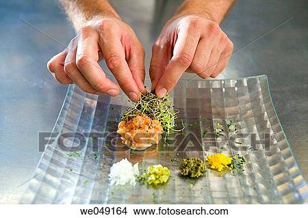 Salmon tartare. Luis Irizar cooking school. Donostia, Gipuzkoa, Basque Country, Spain View Large Photo Image Picture - Salmon tartare. Luis Irizar cooking school. Donostia, Gipuzkoa, Basque Country, Spain. Fotosearch
