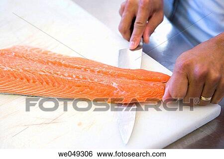 Salmons. Luis Irizar cooking school. Donostia, Gipuzkoa, Basque Country, Spain View Large Photo Image Stock Photograph - Salmons. Luis Irizar cooking school. Donostia, Gipuzkoa, Basque Country, Spain. Fotosearch