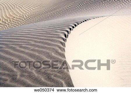 Sand dune. Death Valley National Park. California. USA. View Large Photo Image Picture - Sand dune. Death Valley National Park. California. USA.. Fotosearch