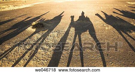 Shadows of camels on safari in the desert. Jaisalmer. Rajasthan. India. View Large Photo Image Stock Photo - Shadows of camels on safari in the desert. Jaisalmer. Rajasthan. India.. Fotosearch