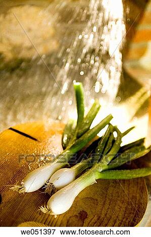 Stock Photo - Shallots. Fotosearch
