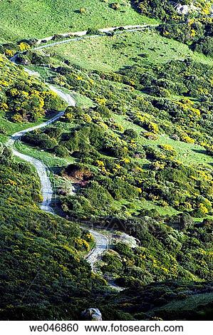 Stock Image - Sinuous road in the foothills near Gilbraltar. Andalusia. Spain. Fotosearch