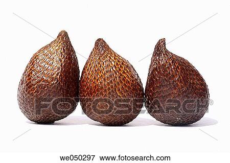 Snake Fruit, snakefruit, Salacca View Large Photo Image Stock Photo - Snake Fruit, snakefruit, Salacca. Fotosearch