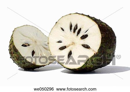Stock Photograph - Soursop, Annona muricata. Fotosearch