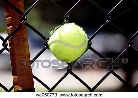 Tennis ball and end of tennis racket in a chain link fence View Large Photo Image Stock Image - Tennis ball and end of tennis racket in a chain link fence. Fotosearch
