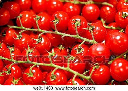 Tomatoes at la Boqueria market, Barcelona. Catalonia, Spain View Large Photo Image Stock Image - Tomatoes at la Boqueria market, Barcelona. Catalonia, Spain. Fotosearch