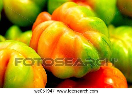 Stock Photo - Tomatoes. La Boquer? a market. Barcelona. Catalonia. Spain.. Fotosearch