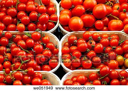 Tomatoes. La Boquer? a market. Barcelona. Catalonia. Spain. View Large Photo Image Stock Photo - Tomatoes. La Boquer? a market. Barcelona. Catalonia. Spain.. Fotosearch