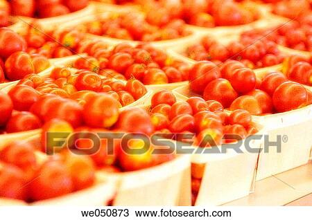 Tomatoes on Farmer's Market Stand. Solanum lycopersicum. Lycopersicon esculentum. August 2006. Maryland, USA View Large Photo Image Stock Image - Tomatoes on Farmer's Market Stand. Solanum lycopersicum. Lycopersicon esculentum. August 2006. Maryland, USA. Fotosearch