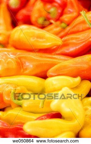 Various peppers on farmer's market stand. Capsicum annuum, August 2006. Maryland, USA View Large Photo Image Picture - Various peppers on farmer's market stand. Capsicum annuum, August 2006. Maryland, USA. Fotosearch