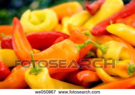 Stock Photo - Various peppers on farmer's market stand. Capsicum annuum, August 2006. Maryland, USA. Fotosearch