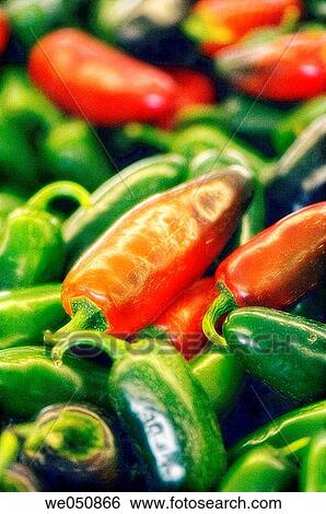 Various peppers on farmer's market stand. Capsicum annuum, August 2006. Maryland, USA View Large Photo Image Stock Photograph - Various peppers on farmer's market stand. Capsicum annuum, August 2006. Maryland, USA. Fotosearch