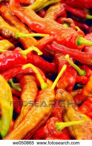Various peppers on farmer's market stand. Capsicum annuum, August 2006. Maryland, USA View Large Photo Image Stock Photography - Various peppers on farmer's market stand. Capsicum annuum, August 2006. Maryland, USA. Fotosearch