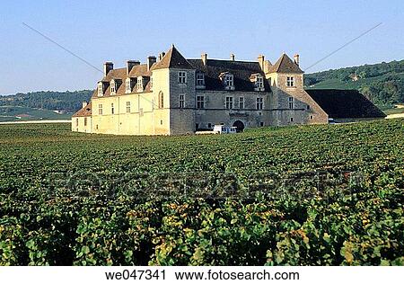 Vineyards in Clos Vougeot - C? te-de-Nuits - C? te d? Or - Burgundy - France View Large Photo Image Stock Image - Vineyards in Clos Vougeot - C? te-de-Nuits - C? te d? Or - Burgundy - France. Fotosearch