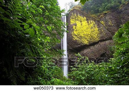 Waterfall in Columbia River Gorge, USA. View Large Photo Image Stock Image - Waterfall in Columbia River Gorge, USA.. Fotosearch