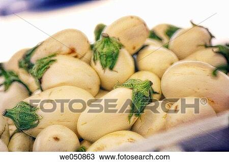 White Eggplants on Farmer's Market Stand. Solanum Melongena. August 2006 View Large Photo Image Stock Image - White Eggplants on Farmer's Market Stand. Solanum Melongena. August 2006. Fotosearch