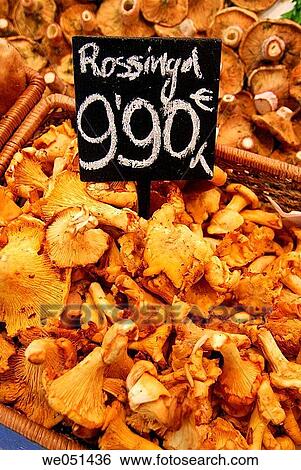 Yellow chanterelle at La Boqueria market, Barcelona. Catalonia, Spain View Large Photo Image Stock Photograph - Yellow chanterelle at La Boqueria market, Barcelona. Catalonia, Spain. Fotosearch