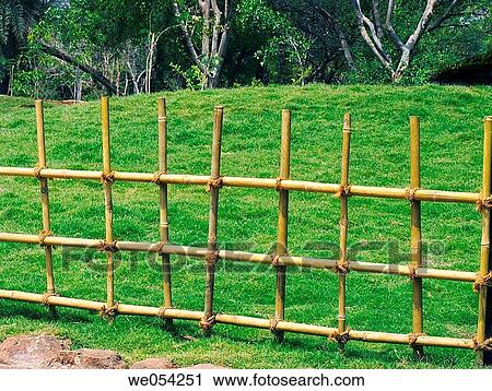 A small compound made of bamboos in a Japnese garden. Pune, Maharashtra, India. View Large Photo Image Stock Image - A small compound made of bamboos in a Japnese garden. Pune, Maharashtra, India.. Fotosearch
