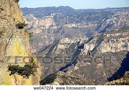 Aerial view of Barrancas del Cobre from Divisadero, Chihuahua. Mexico. View Large Photo Image Picture - Aerial view of Barrancas del Cobre from Divisadero, Chihuahua. Mexico.. Fotosearch