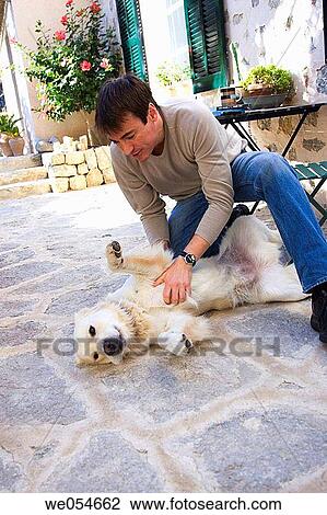 affection, caress, calm, animal, 30's View Large Photo Image Stock Image - affection, caress, calm, animal, 30's. Fotosearch