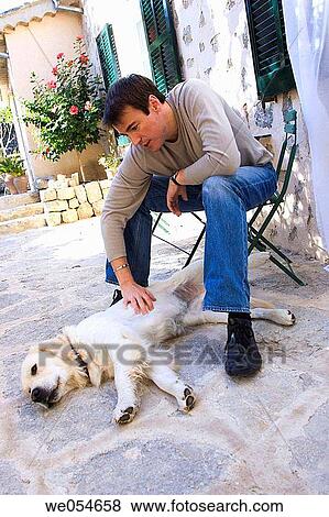 affection, caress, calm, animal, 30's View Large Photo Image Stock Photo - affection, caress, calm, animal, 30's. Fotosearch