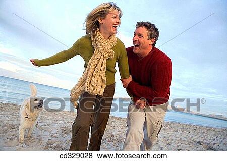animal, beach, baby boomer, autumn, amusement View Large Photo Image Stock Photo - animal, beach, baby boomer, autumn, amusement. Fotosearch