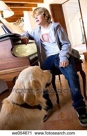 animal, boy, blond, at-home, absorbed View Large Photo Image Stock Image - animal, boy, blond, at-home, absorbed. Fotosearch