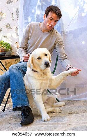 animal, calm, 30's View Large Photo Image Stock Photo - animal, calm, 30's. Fotosearch