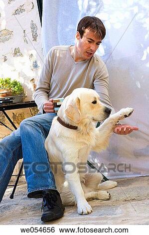 animal, calm, 30's View Large Photo Image Stock Photograph - animal, calm, 30's. Fotosearch