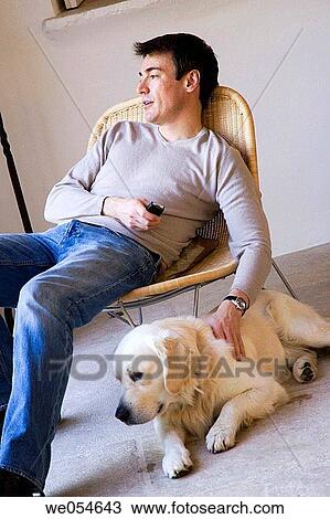 animal, calm, at-home, 30's View Large Photo Image Stock Image - animal, calm, at-home, 30's. Fotosearch