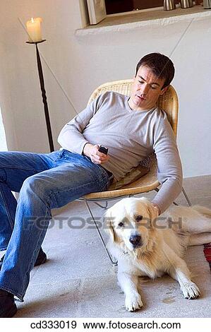 animal, calm, at-home, 30's View Large Photo Image Stock Photo - animal, calm, at-home, 30's. Fotosearch