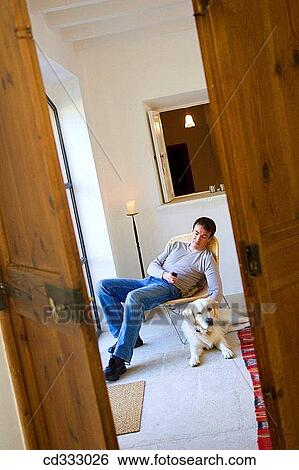 animal, calm, at-home, 30's View Large Photo Image Stock Photograph - animal, calm, at-home, 30's. Fotosearch