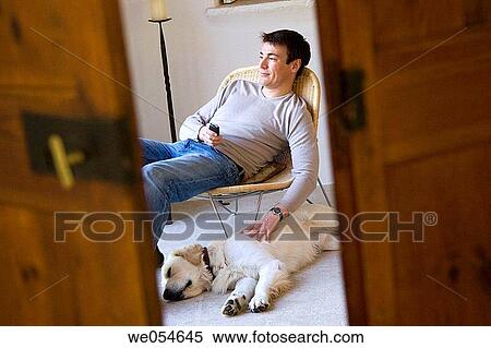 animal, calm, at-home, 30's View Large Photo Image Stock Photography - animal, calm, at-home, 30's. Fotosearch