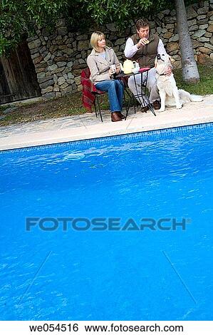 animal, calm, border, 30's View Large Photo Image Stock Photograph - animal, calm, border, 30's. Fotosearch