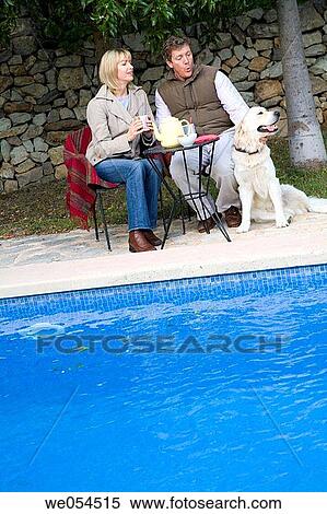 animal, calm, border, 30's View Large Photo Image Stock Photography - animal, calm, border, 30's. Fotosearch