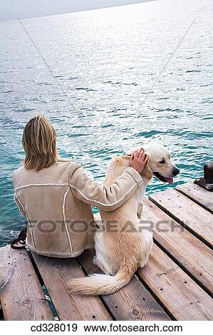 Stock Photo - animal, caress, calm, back view, affection. Fotosearch