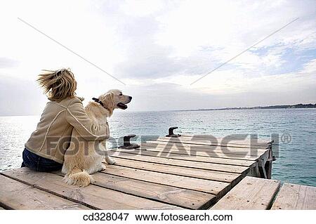animal, caress, calm, back view, affection View Large Photo Image Stock Photo - animal, caress, calm, back view, affection. Fotosearch