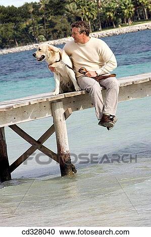 animal, caressing, caress, calm, affection View Large Photo Image Stock Image - animal, caressing, caress, calm, affection. Fotosearch