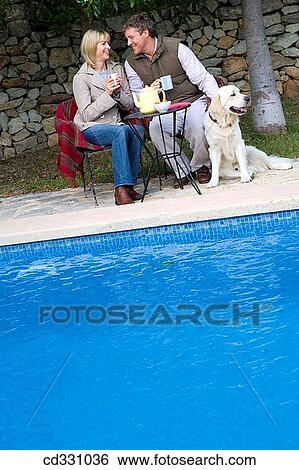 animal, chat, border, 30's View Large Photo Image Stock Photograph - animal, chat, border, 30's. Fotosearch