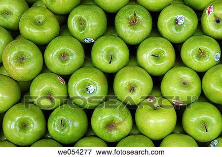 Apples Granny Smith. Farmers market. Manila. Philippines View Large Photo Image Stock Photo - Apples Granny Smith. Farmers market. Manila. Philippines. Fotosearch