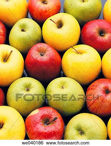Apples View Large Photo Image Stock Photograph - Apples. Fotosearch