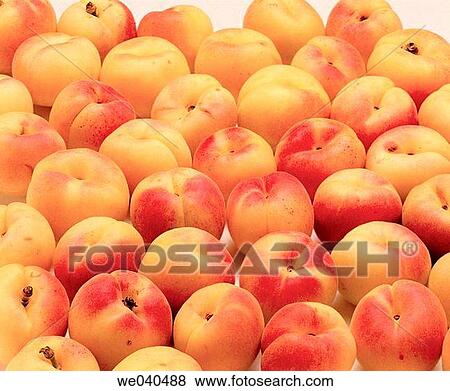 Apricots View Large Photo Image Stock Photo - Apricots. Fotosearch