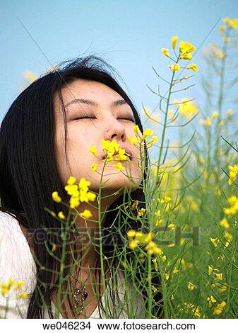 Asian, Close-up, brunette, aroma View Large Photo Image Picture - Asian, Close-up, brunette, aroma. Fotosearch