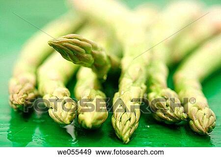Asparagus View Large Photo Image Stock Photo - Asparagus. Fotosearch