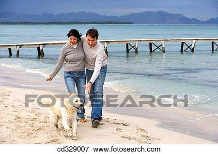 autumn, Best friend, beach, baby boomer, animal View Large Photo Image Stock Photo - autumn, Best friend, beach, baby boomer, animal. Fotosearch