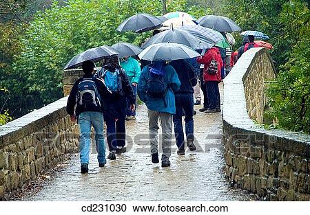 back view, bridge, day, excursion View Large Photo Image Stock Image - back view, bridge, day, excursion. Fotosearch