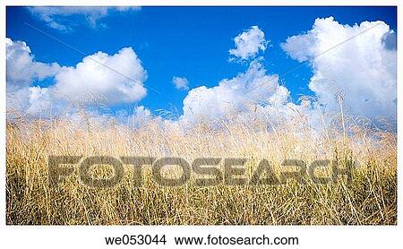 background, calm, cloud, country, day View Large Photo Image Picture - background, calm, cloud, country, day. Fotosearch