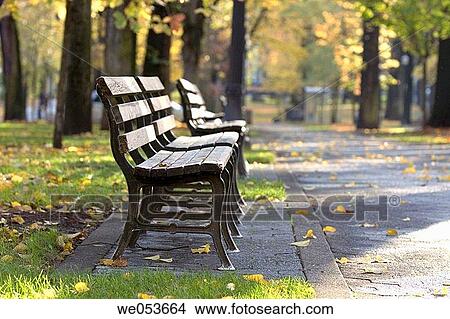 Benches, fall, city park, leaves View Large Photo Image Picture - Benches, fall, city park, leaves. Fotosearch