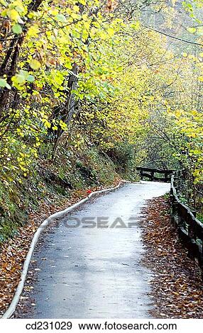 bend, deserted, day, curve, autumn View Large Photo Image Stock Photo - bend, deserted, day, curve, autumn. Fotosearch